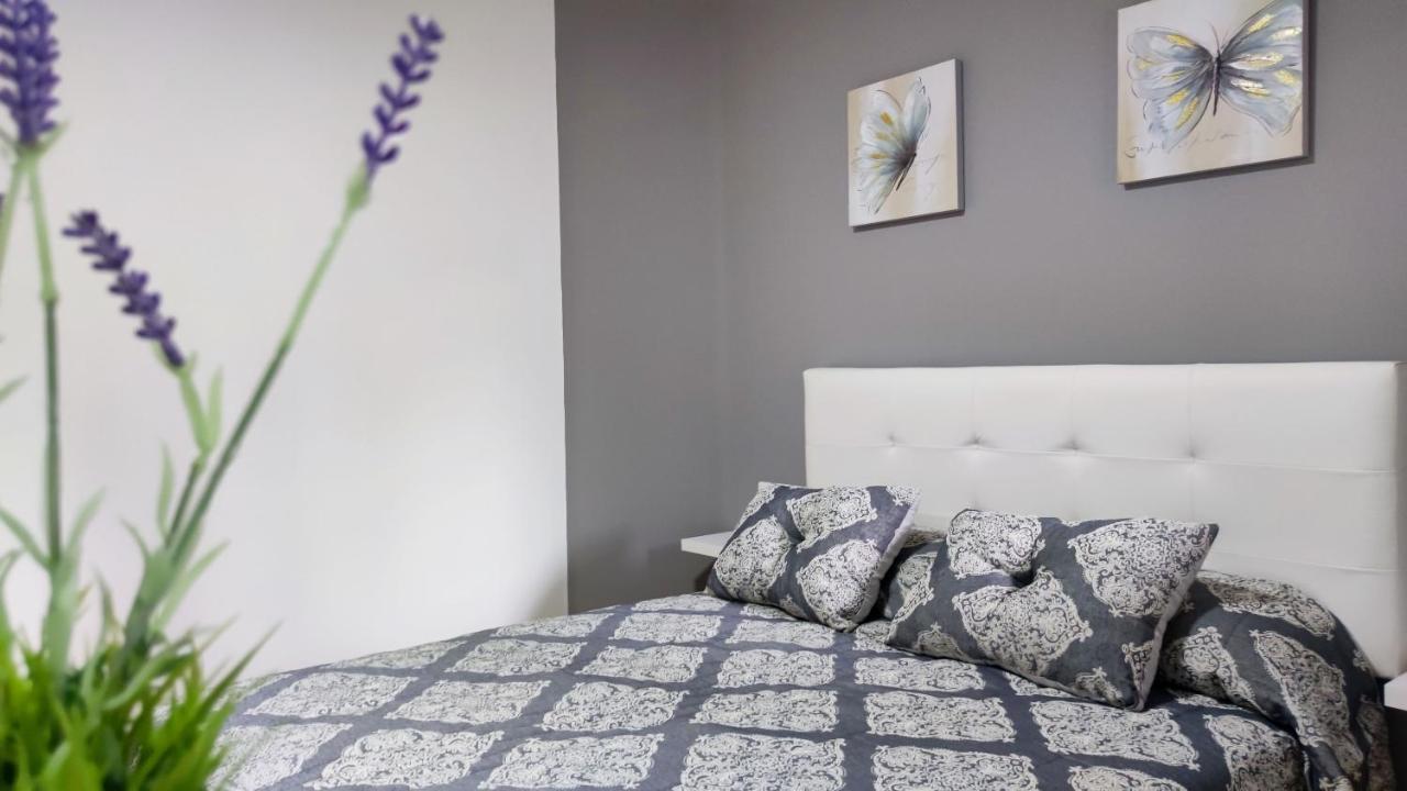Os Reloxos II Apartment Mondariz-Balneario Bagian luar foto